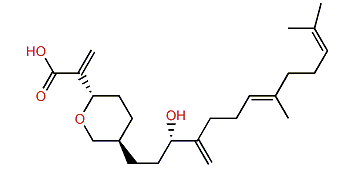 Rhopaloic acid F